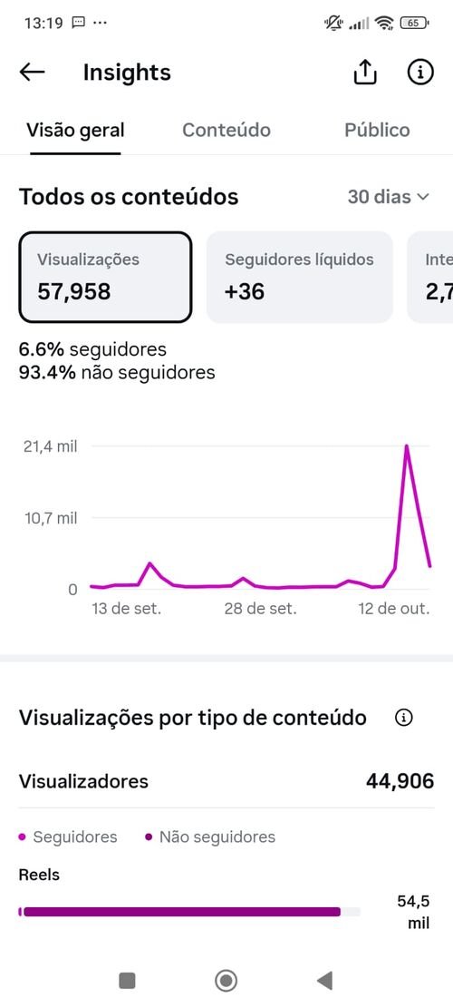 Print dos insights do perfil com 57.958 visualizações em 30 dias